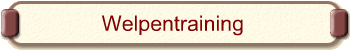 Welpentraining
